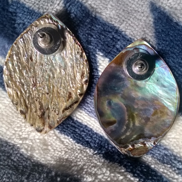 Abalone Earings - Picture 2 of 3